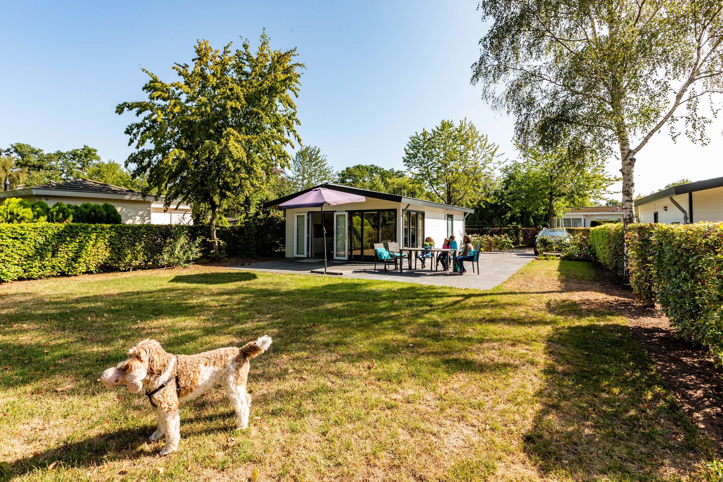 Ferienhaus in Lichtenvoorde (Niederlande) und 2 Hunde erlaubt
